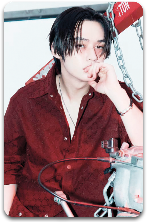 Карта / STRAY KIDS #1351