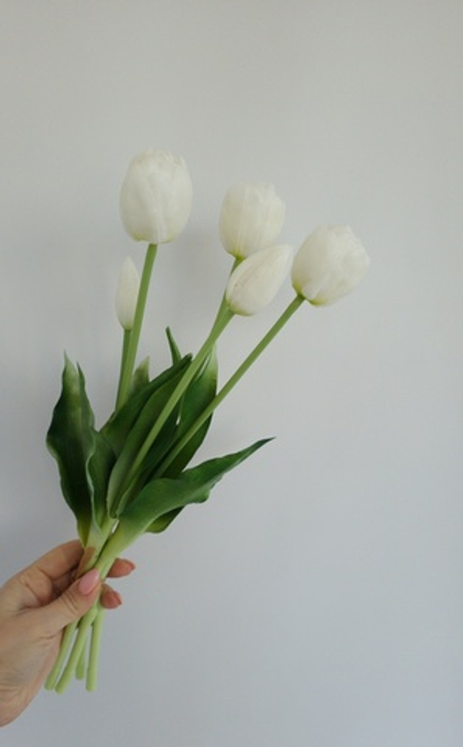 Тюльпаны пионовидные / Арт 2411