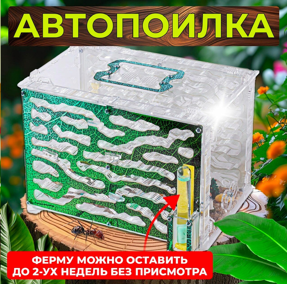 Самый Большой Формикарий с муравьями в подарок «Экосистема»
