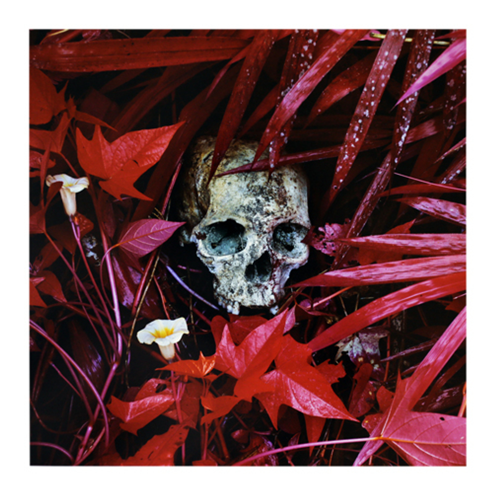 Ben Frost & Richard Mosse - The Enclave - The Vinyl Factory, Private Press, #23/100