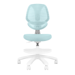 Эргономичное кресло Anatomica Farang