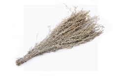 Веник для бани Полынь Пучек