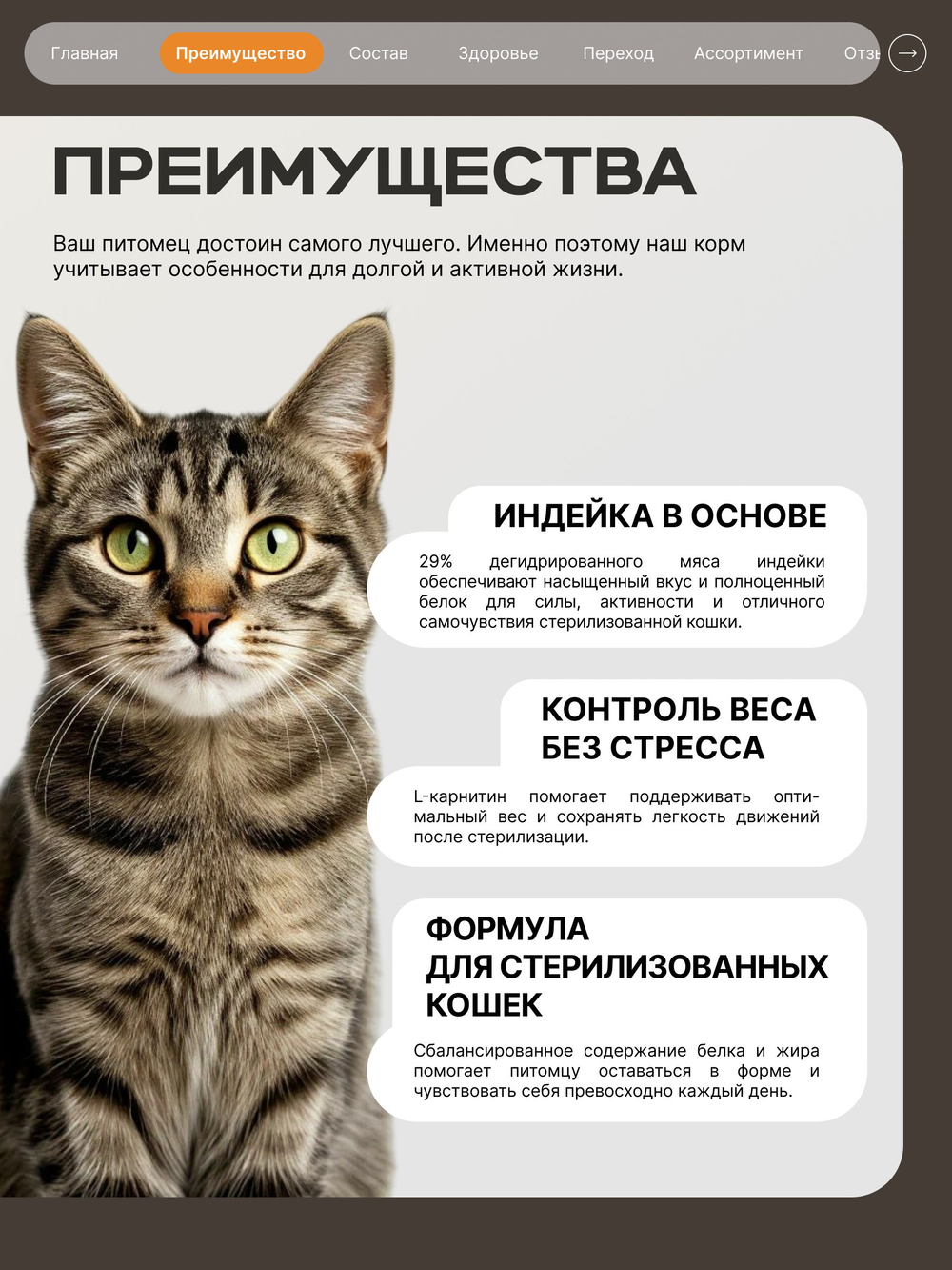 Корм сухой для стерилизованных кошек всех пород, с индейкой, 400 гр, QUATTRO