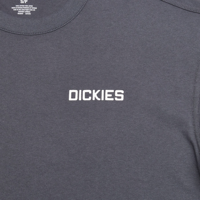 Лонгслив Dickies Payson 2-in-1 Let T-shirt артикул:DK0A88JFBLK1 - купить в магазине Дайс