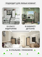 Шкаф распашной двухдверный с полками в прихожую для одежды Кодар