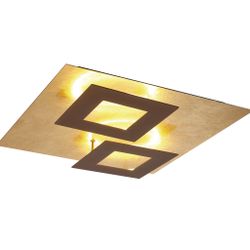 8163 Потолочный светильник DALIA