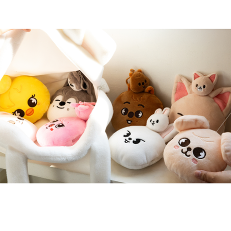 Игрушка-брелок с выдвижным держателем для карты SKZOO REEL FACE SET - SKZOO Everywhere All Around The World