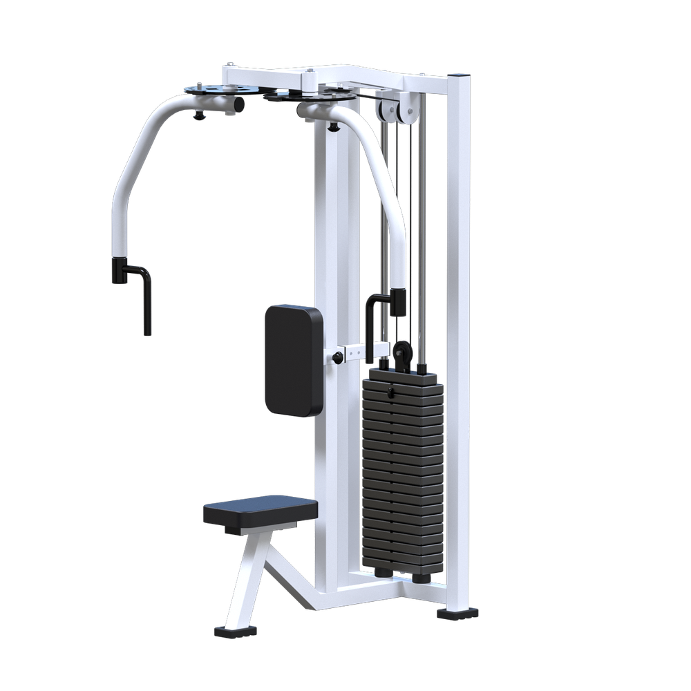 Баттерфляй-задние дельты