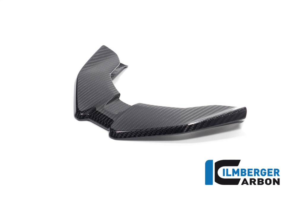 Ilmberger Carbonparts Вставка в передний обтекатель BMW M 1000 XR