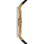 Мужские наручные часы Festina F16478/2