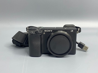 Sony A6300 1100 кадров