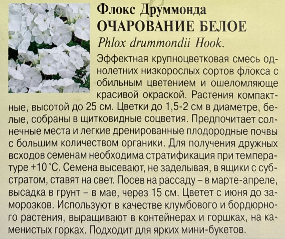 Флокс Очарование белое друммонда 0,05 г СМЦ-289