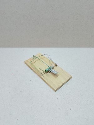 Мышеловка STAYER с деревянной платформой