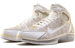 Кроссовки Nike 2K4 Kobe Laser