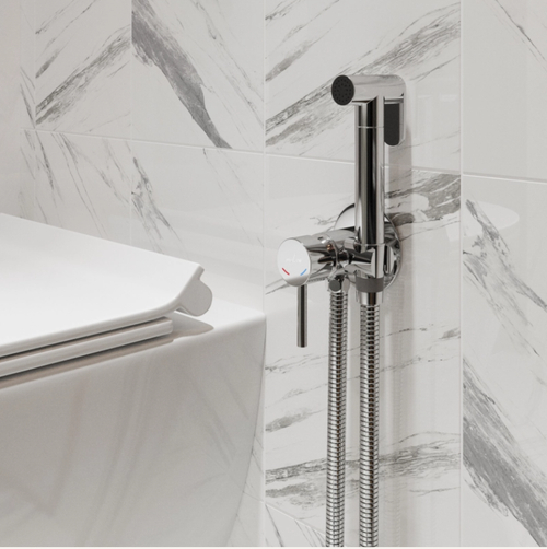 Смеситель с гигиенической лейкой 25k MIXLINE ML31-081 "Ray" встраиваемый