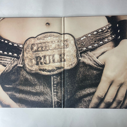 Виниловая пластинка LP Dixie Chicks Home (Европейский Союз 2016)