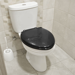 Сиденье для унитаза (черное)