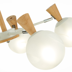 Светильник потолочный Evoluce Catania SLE220702-05