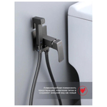 Гигиенический душ со смесителем встраиваемый Raglo R02.54.09, графит