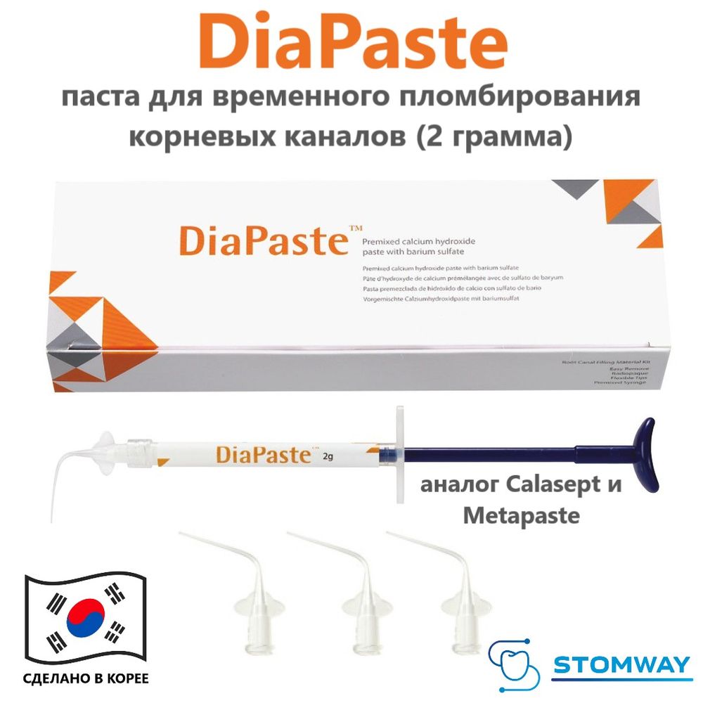 DiaPaste (2гр.+насадки) ДиаПаста, паста для временного пломбирования корневых каналов