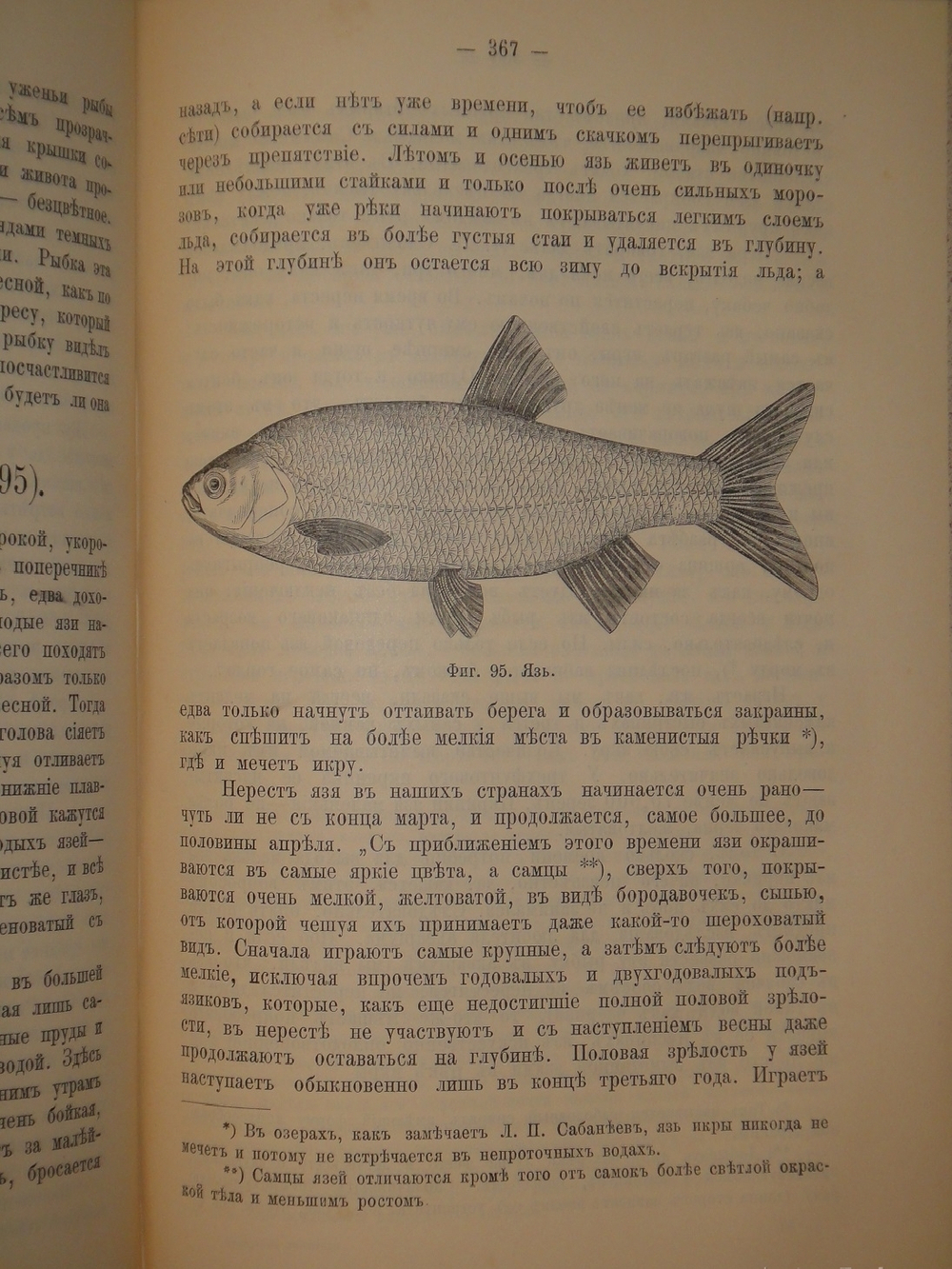"Аквариум любителя. Подробное описание флоры и фауны аквариума, устройство аквариума, уход за ним и пр.". Н.Ф.Золотницкий. 1890г.
