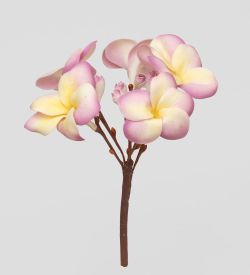 TR 614HM1 Плумерия 5 бутонов без листьев