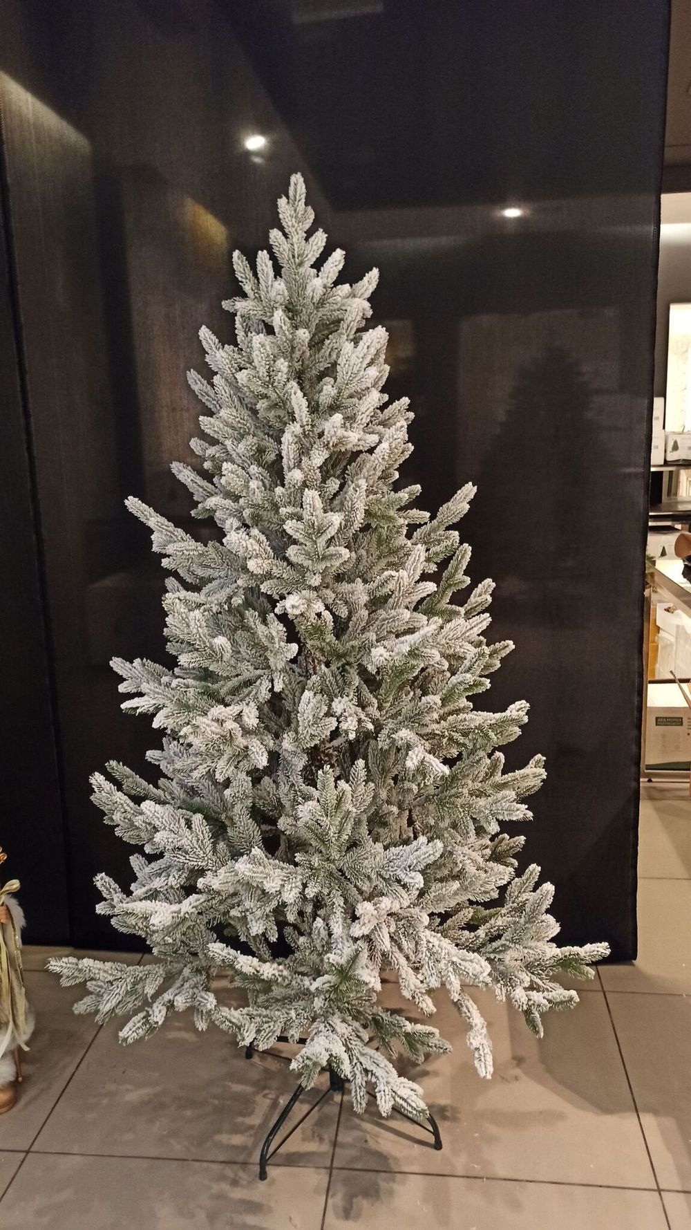 Ель Заснеженная «Нордман» (Литая хвоя) 210 см / 2.1 м