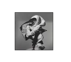 Картина FA-H2001F