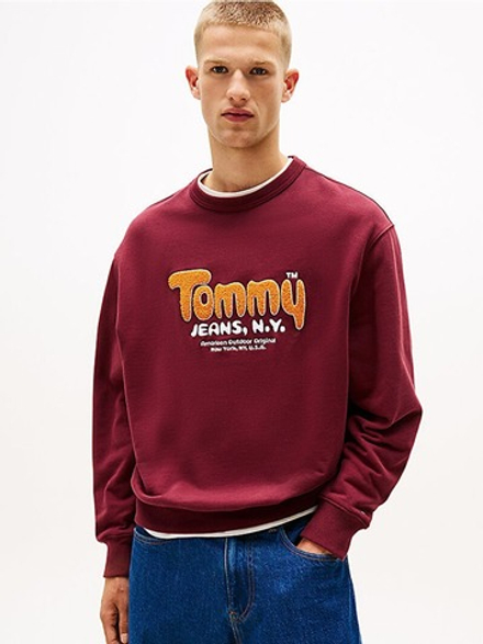 Толстовка мужская TOMMY JEANS TJM RLX BOUCLE FNT P