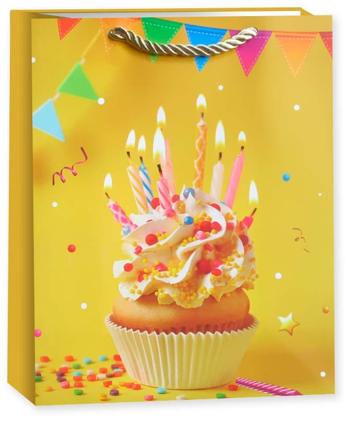 Пакет подарочный, Яркий День Рождения, Дизайн №4, 40*31*12 см, 1 шт.