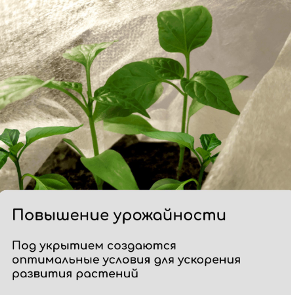 Материал укрывной, 5 × 1,6 м, плотность 60 г/м², с УФ-стабилизатором, белый