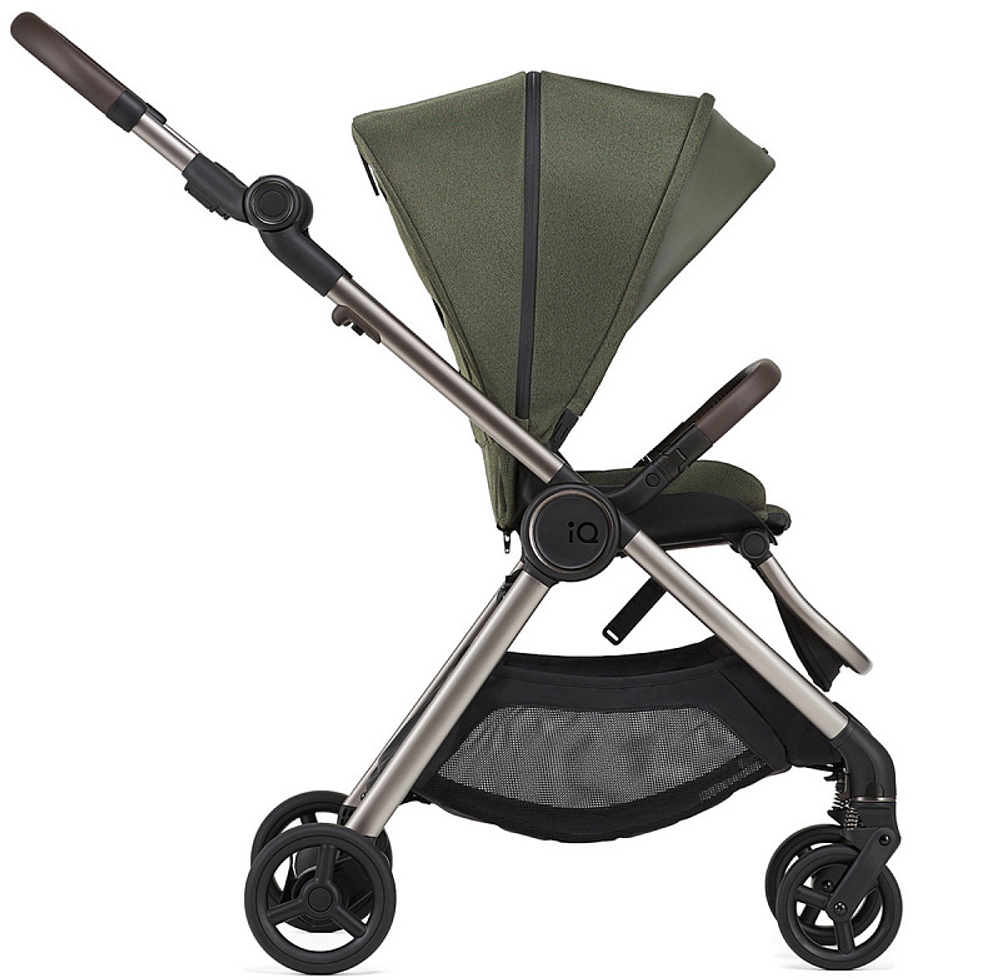 Детская коляска Anex IQ Premium 2 в 1 richi