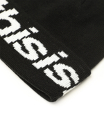 Шапка Hsp-logo Big Cuff