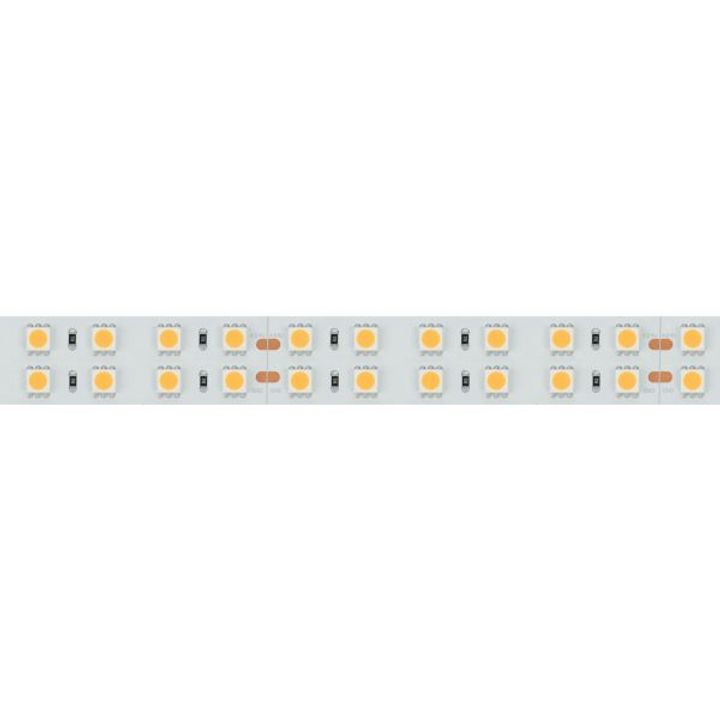 Светодиодная лента Arlight 34,4W/m 144LED/m 5060SMD холодный белый 5M 025277(2)