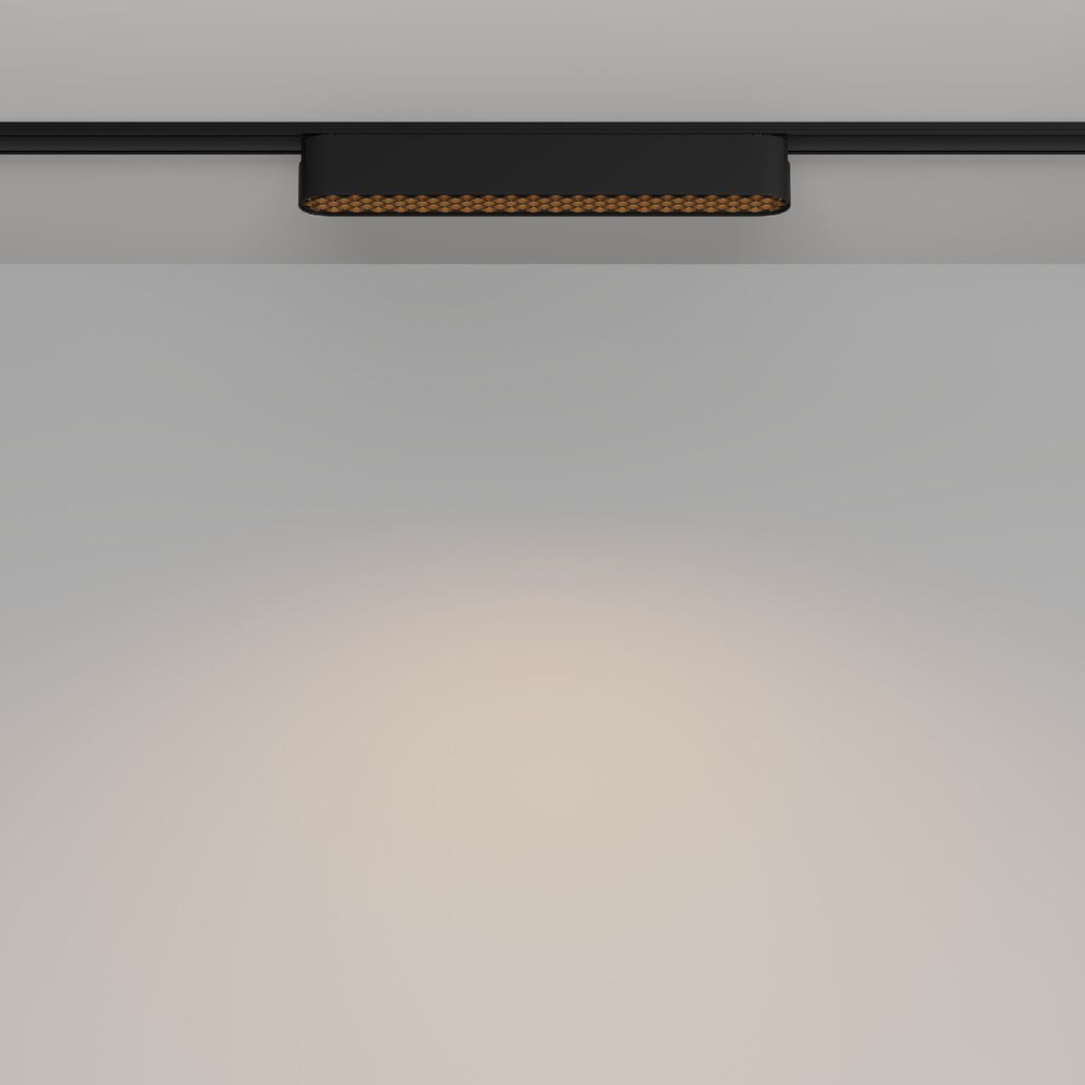 Трековый светильник Maytoni Technical TR084-1-12W3K-B