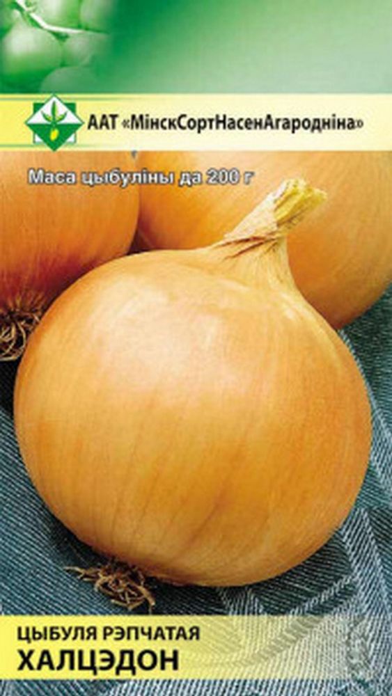 Лук &quot;Халцедон&quot; 0.5г