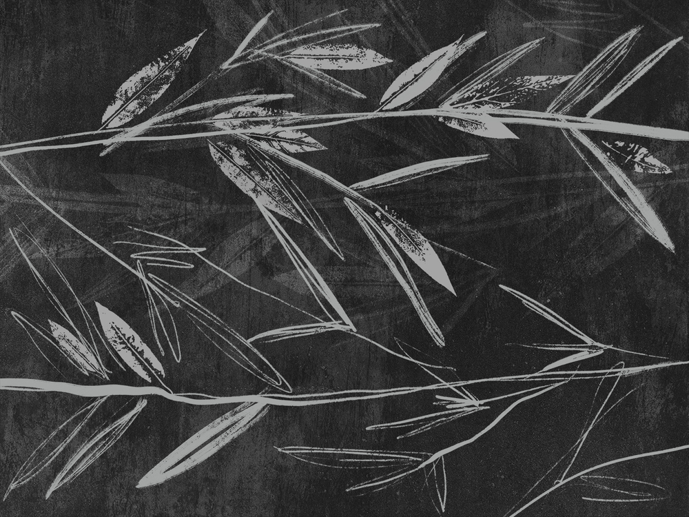 Коллекция ROCKART