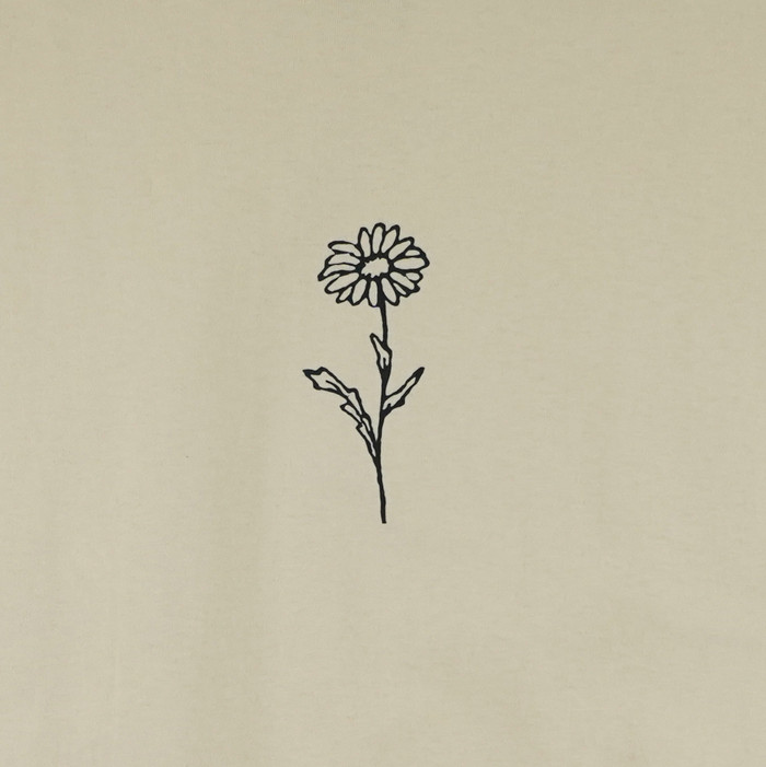 Футболка мужская Obey Daisy артикул:165262778 - купить в магазине Дайс