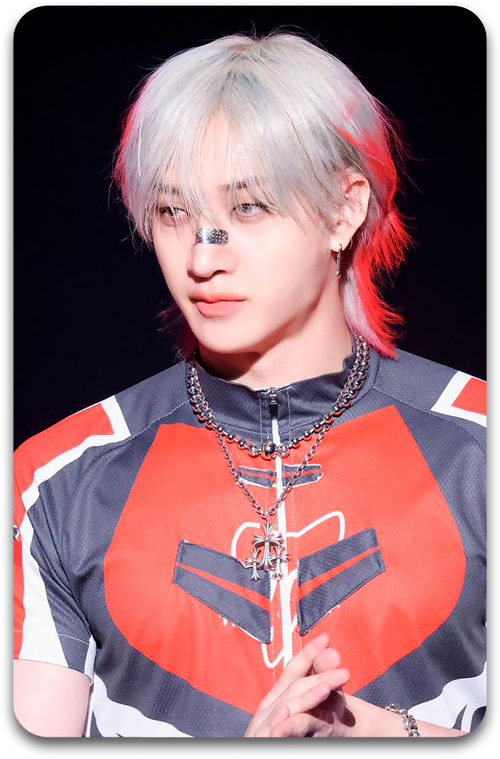 Карта / STRAY KIDS #4388