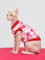 Одежда для кошек сфинкс