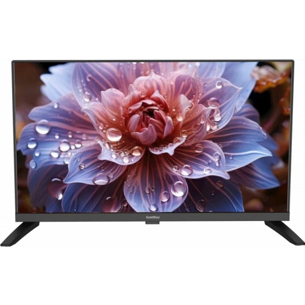 Телевизор GOLDSTAR LT-24R1000