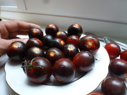 Помидоры Черри - Dancing with Smurfs - Танец со Смурфами