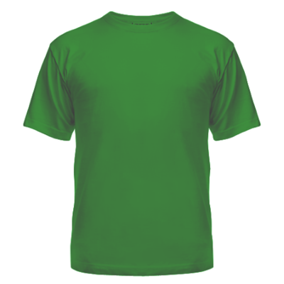 Футболка Зеленый (цвет 2023) ХЛОПОК 145гр, 56 (3XL)