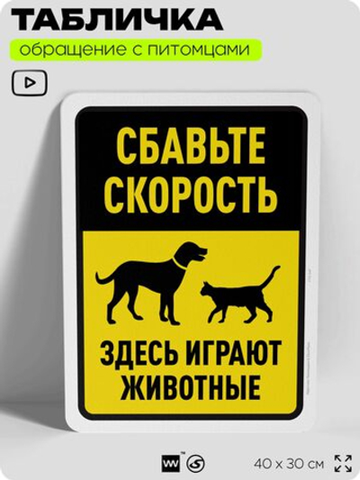 Табличка "Сбавьте скорость, здесь играют животные" на дверь и забор, для двора, дома, подъезда, 40х30 см, Silver Plane x Айдентика Технолоджи