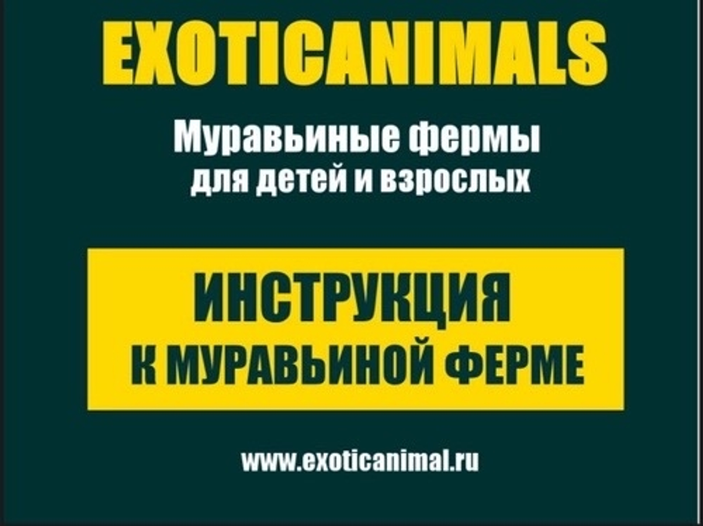 Инструкция по сборке муравьиной фермы