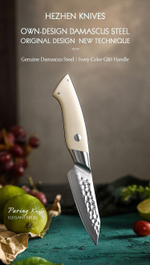 Кухонный нож Hezhen B38H Paring нож 3,5 дюймов клинок 67 Layers Damascus рукоять G10, длина лезвия 9,5 см