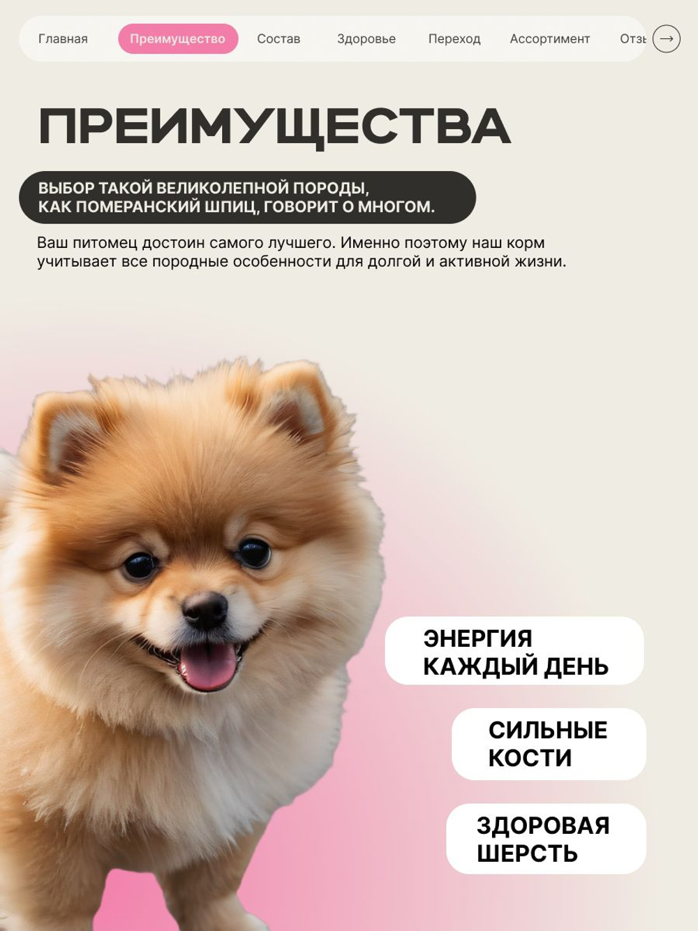 Корм сухой для щенков породы Померанский шпиц, с говядиной, 800 гр, QUATTRO