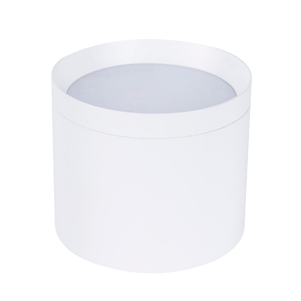 Накладной светильник Favourite 4708-1C