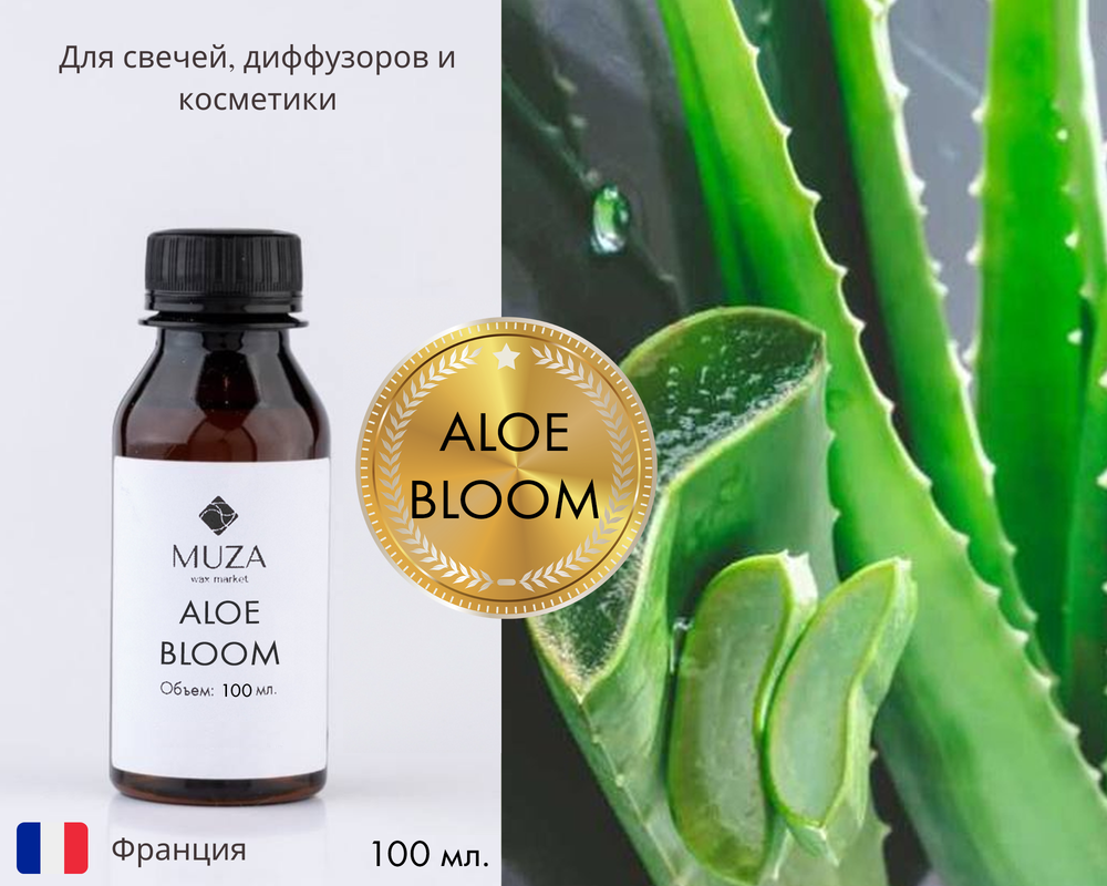 Aloe bloom (Алоэ вера)