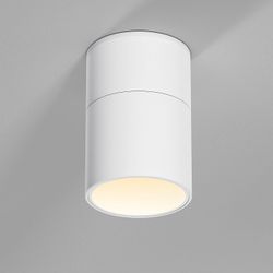 Накладной светильник Elektrostandard Rolly a067486